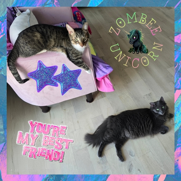 😻Gizmo & Smoke💘 - Picture 2 of 16